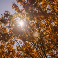 Temperaturile vor fi specifice acestei perioade a anului. FOTO: Pexels.com