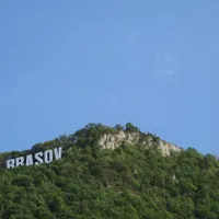 Brașovul va avea o o pădure-parc. Secretar de stat de la Mediu: S-a aprobat transformarea suprafeței - Foto: Profimedia Images/ Imagine cu caracter ilustrativ