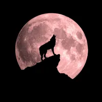 VIDEO Misterul omului-lup care a băgat spaima într-un sat din Transilvania. Ar fi fost blestemat - Foto: Arhivă/ Imagine cu caracter ilustrativ