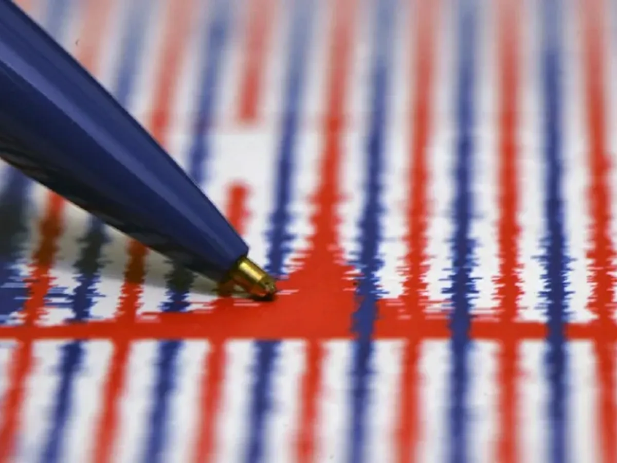 Seism - Foto: Profimedia Images