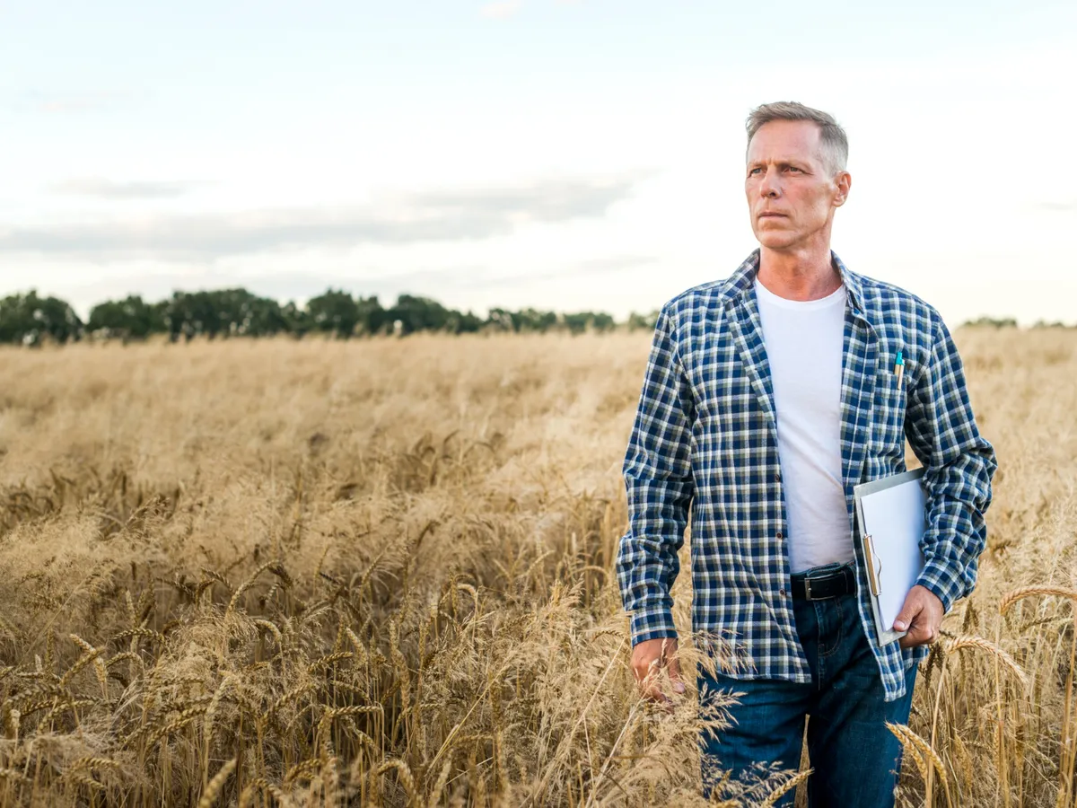 Producțiile de grâu și orz din România vor fi cu 16% mai mici față de 2025, conform unui raport european