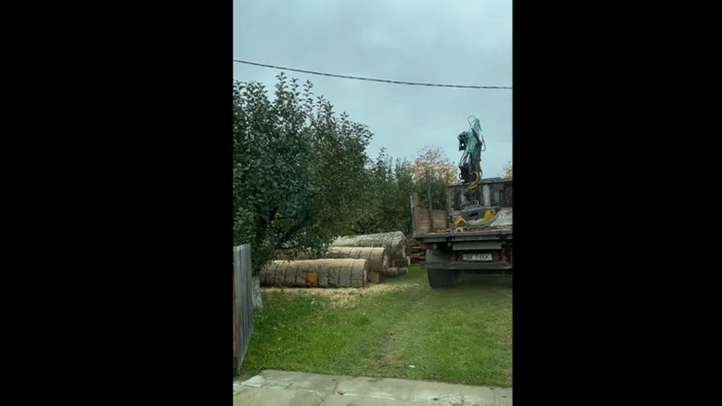 Un camion cu lemn de fag fără acte a fost depistat de activiștii de mediu intrând și descărcând în curtea Postului de Poliție din comuna Arbore. / Foto: captură video