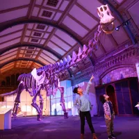 Un mulaj al unuia dintre cei mai mari dinozauri care au cutreierat Pământul, Patagotitan mayorum, este expus la Londra, în sala de expoziţii a Muzeului de Istorie Naturală. - Foto: Profimedia Images