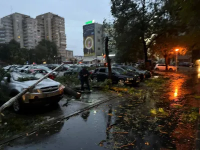 Copaci și stâlpi doborâți de vânt în București - Foto: Facebook / Furtuni România