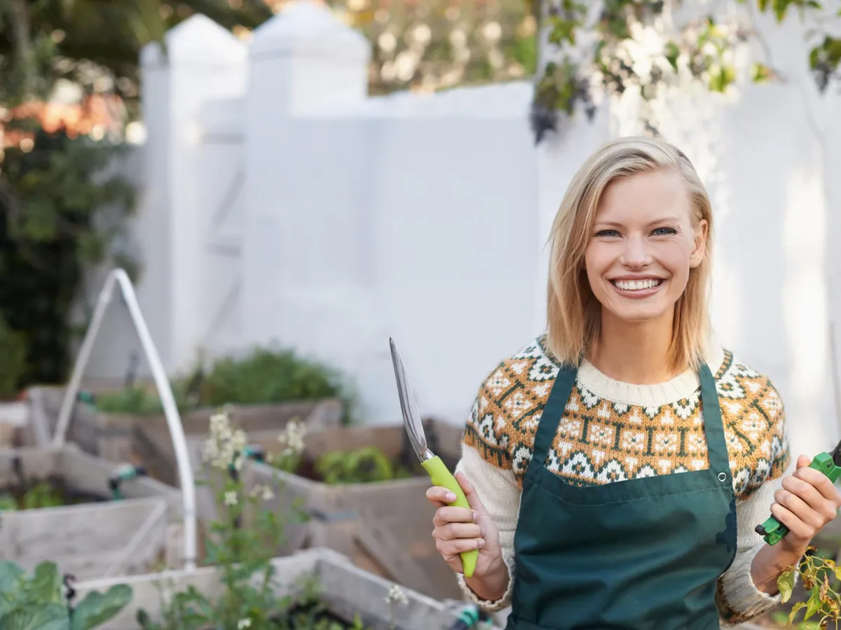 Cum să îți cureți terenul cu planta numită și “argintul fermierilor”. Curăță solul de metale grele - Foto: Freepik (Imagine cu rol ilustrativ)