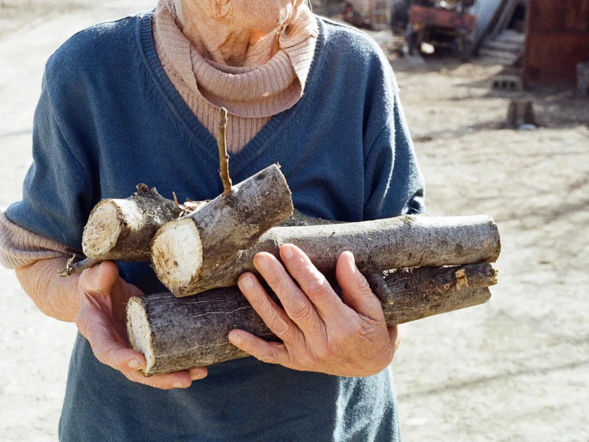 Pensionar caută lemne - Foto: Freepik