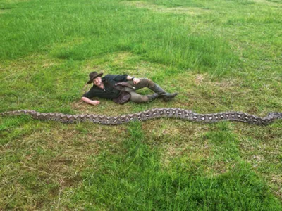 Românul care a descoperit cel mai lung șarpe din lume, intrat în Cartea recordurilor: Succesul niciodată nu este al unui singur om