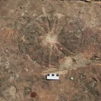 Amprente de dinozaur și picturi rupestre, găsite în același sit, în Brazilia. Foto: folha.uol.com