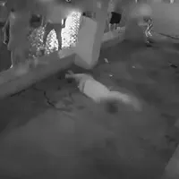 VIDEO Patru bărbați au fost snopiţi în bătaie în fața unui restaurant din Constanța/FOTO: Captura video