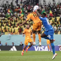 Olanda - Senegal - Foto: Profimedia