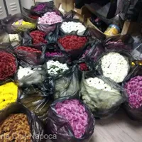 Ghivece cu flori - Foto: Primăria Cluj