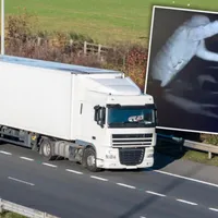 Hoți acrobați fură din TIR-uri aflate în mers pe autostradă. „Circarii” au fost arestați - Foto: fakt.pl