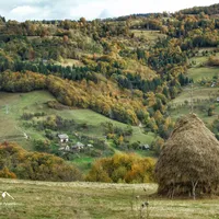 Munții Apuseni, incluși de CNN în topul celor mai frumoase locuri din Europa. Foto Descopera Muntii Apuseni