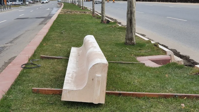 Noul tip de borduri agreate de Robert Negoiță. / Foto: hotnews.ro