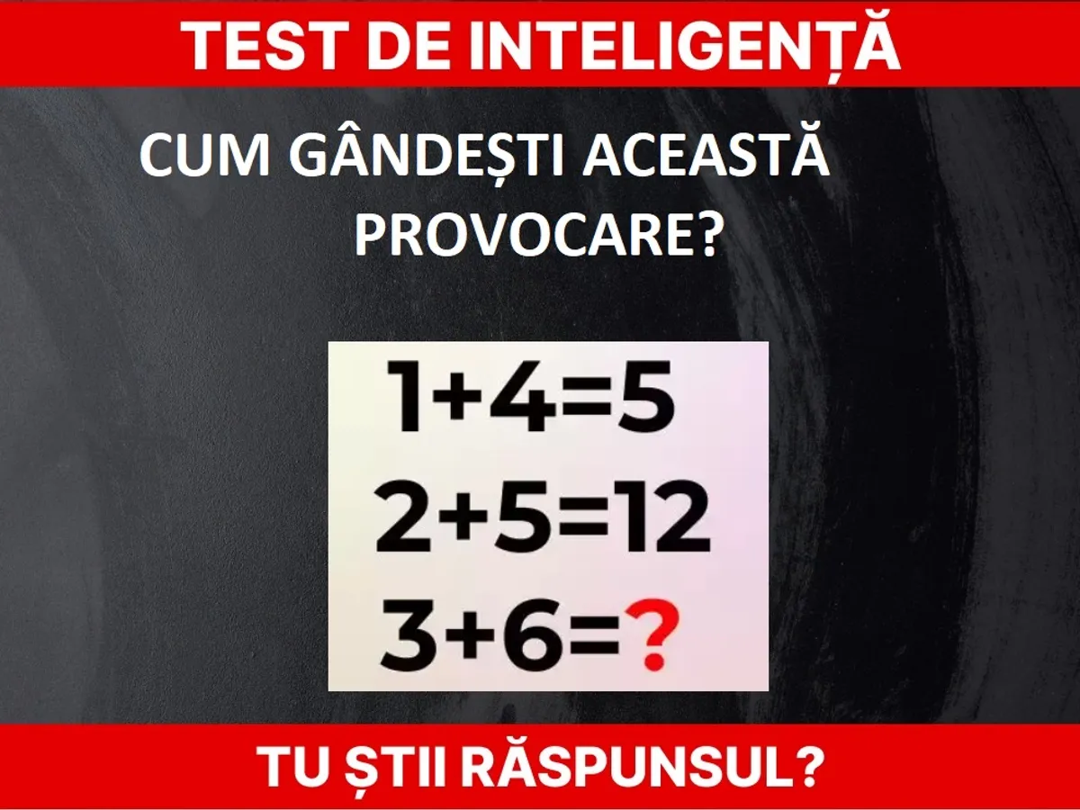 Test de inteligență Foto: Newsweek