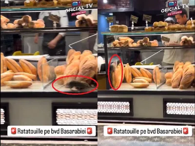 Șobolan printre pâinile expuse într-o brutărie - Foto: captură Reedit