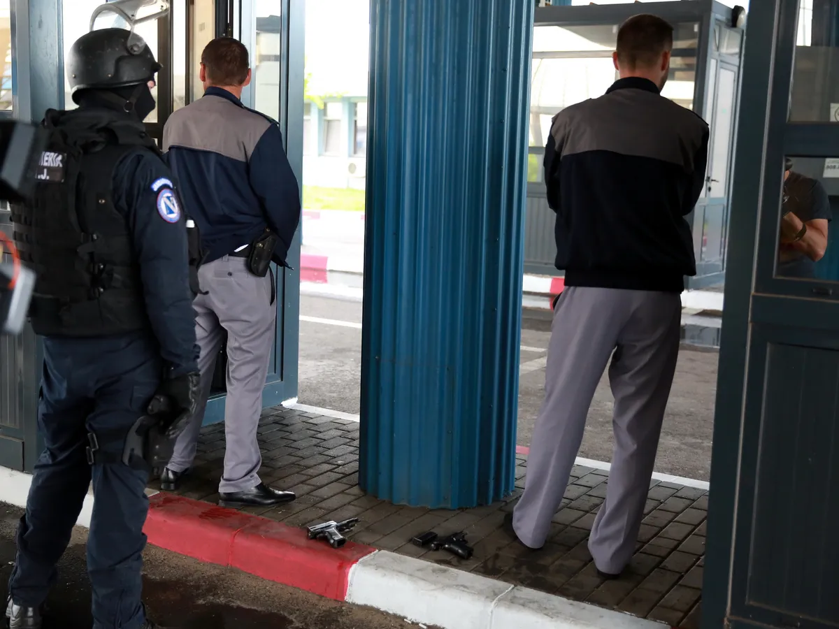 Interlopii Vulpea, Cowboy și Mogli obligați să plătească 500.000 de lei către Vamă. Cu ce se ocupau