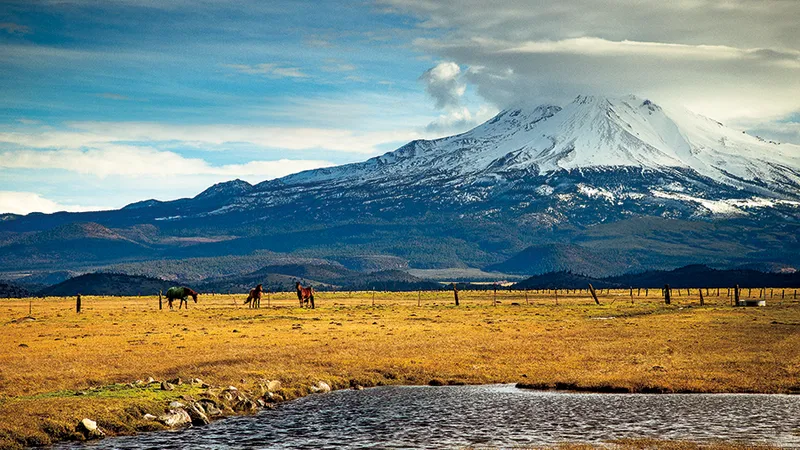 RISC CALCULAT. Muntele Shasta, cel de-al cincilea cel mai înalt munte al Californiei, are „un risc foarte mare“ de erupţie, în următorii 30 de ani