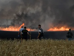 Incendii devastatoare în Bulgaria. Autoritățile cer ajutor - Foto: Profimedia Images