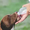 Câine care bea apă - Foto: Magnific (rol ilustrativ)