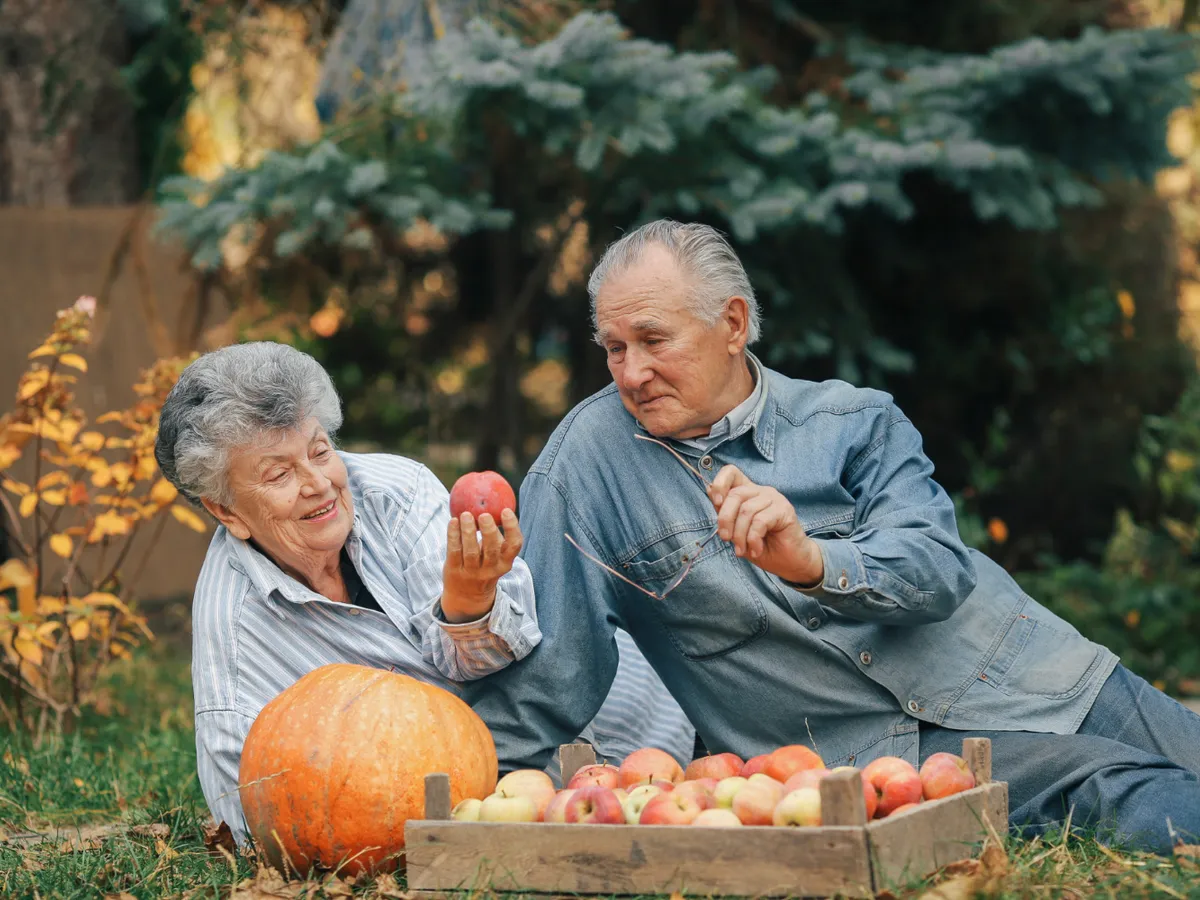 Pensionari la pensie - Foto: magnific