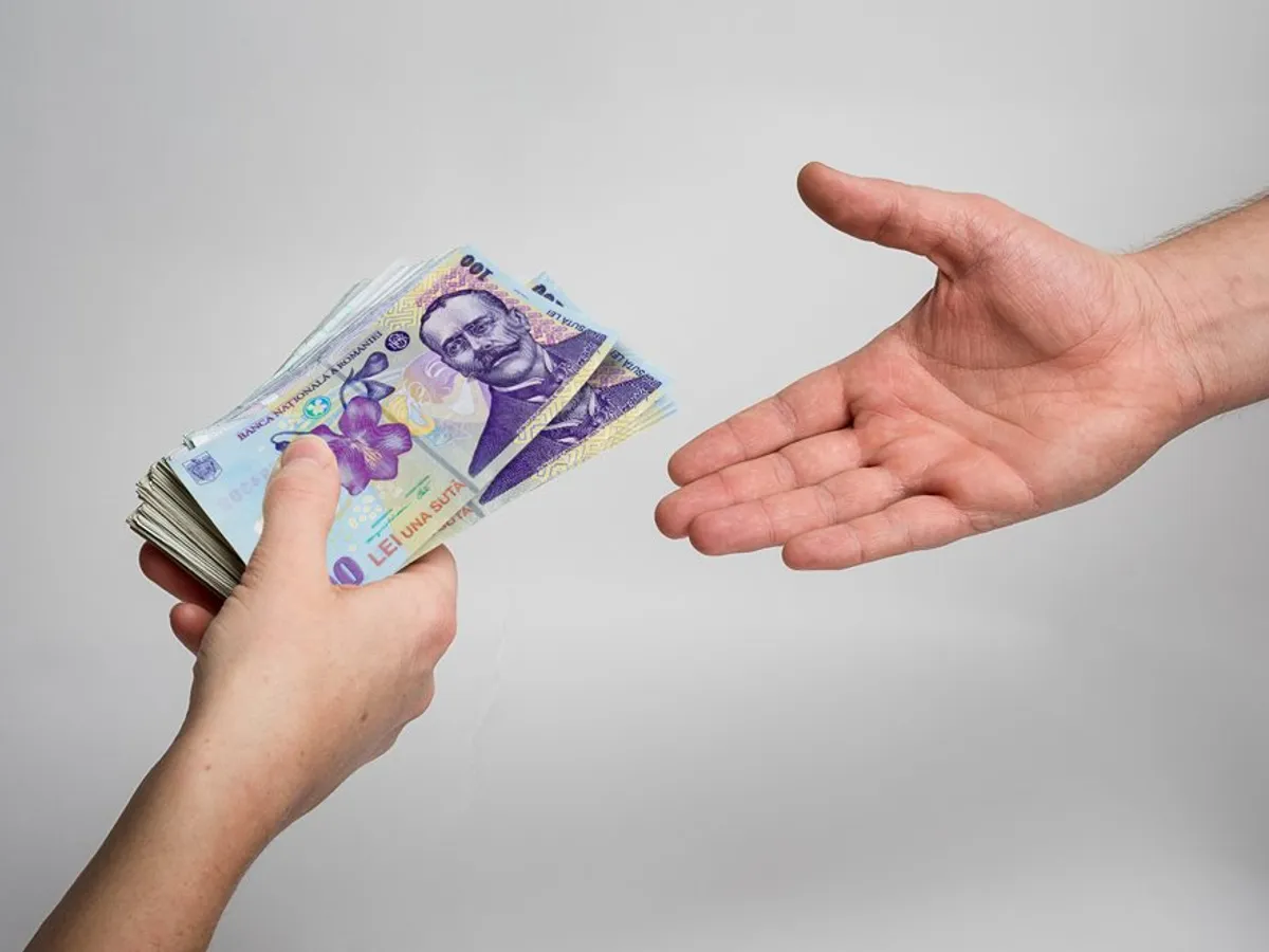 Bani - Foto:ziaruldeiasi