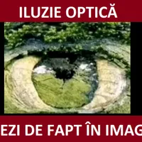 Iluzie optică Foto: Newsweek/ indiatimes.com