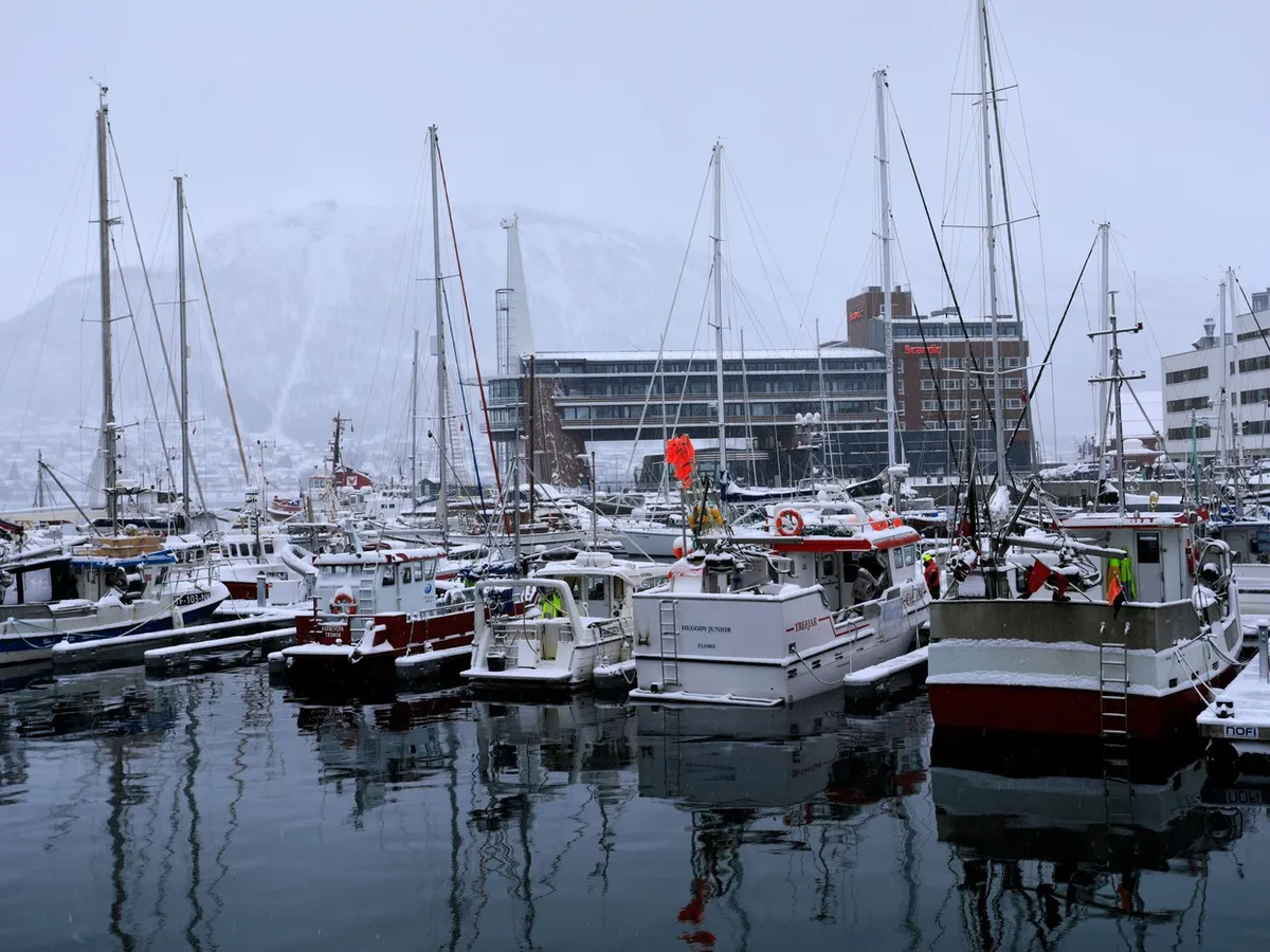Bărci în Portul Tromso, fiordul Tromsesundet, Norvegia - Foto: Profimedia Images
