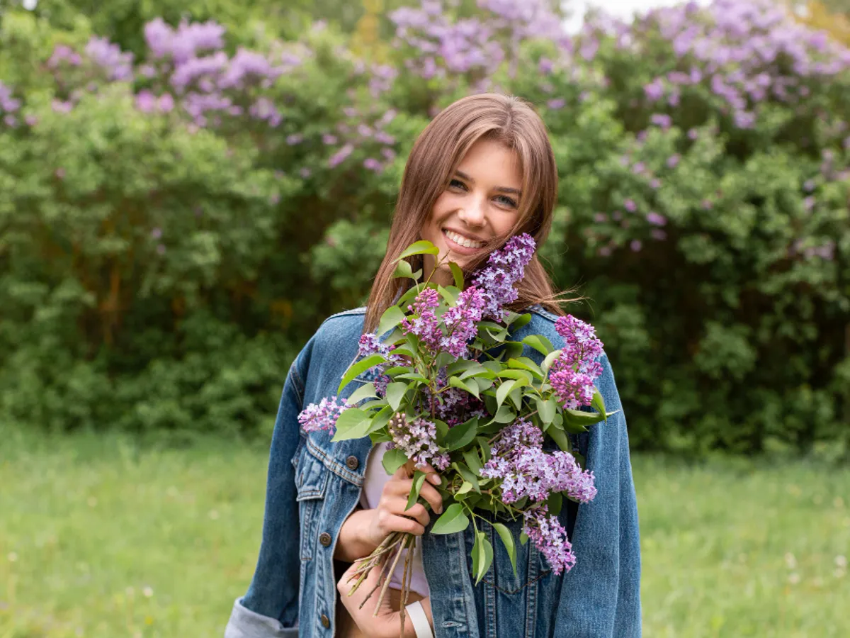 Când tai florile uscate de liliac? Mai sunt câteva zile pentru a face asta. Așa va avea mai multe flori