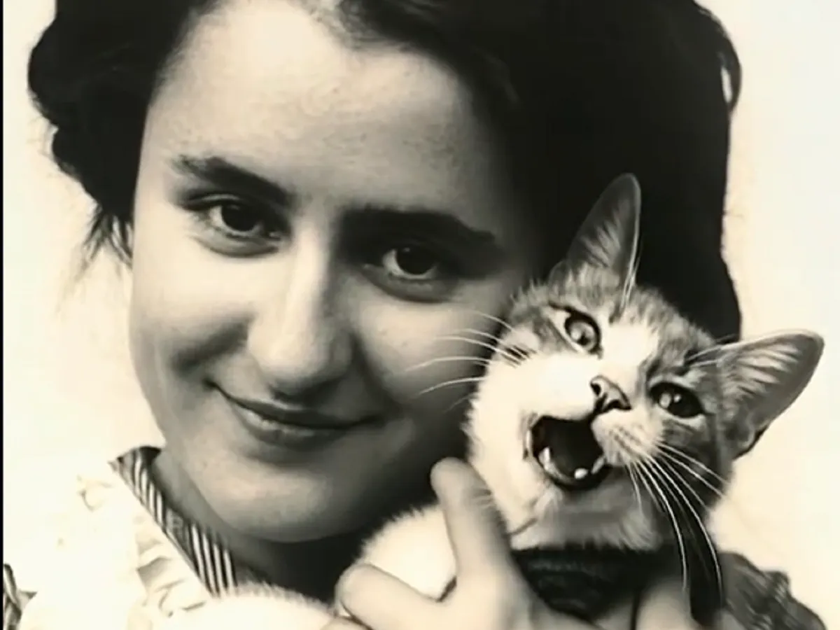 Motanul Zeppelin, ce a trăit la Iași acum 100 de ani, miaună din nou! Cum a fost posibil?