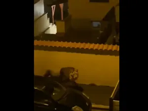 Un leu, „turist” pe străzile orașului Ladispoli. A evadat de la un circ ambulant - Foto: captură video