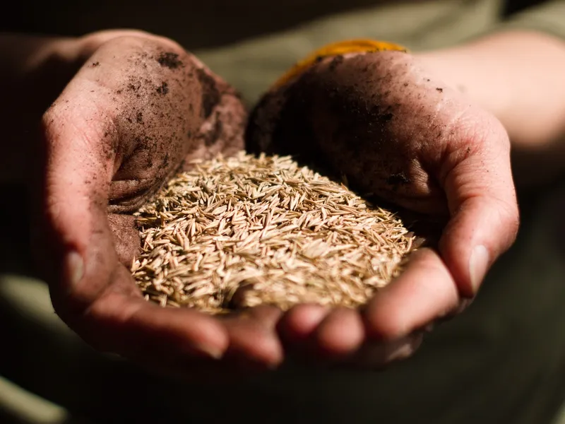 Lumea va rămâne fără mâncare în 27 de ani /foto: foodtank