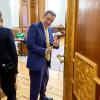 Sorin Grindeanu, președintele interimar PSD - Foto: Profimedia Images