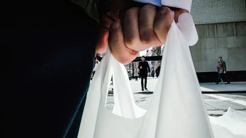 Un stat interzice complet pungile de plastic. De când se va întâmpla asta? Care e miza de mediu? - Foto: Flickr/Michael Kowalczyk