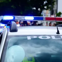 Tânără studentă, spulberată pe trecerea de pietoni de o mașină de poliție aflată în misiune - FOTO: Pixabay