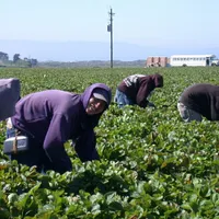 Care români se pot trezi cu 1.100 de lei mai puțin în buzunar. Ce condiţii trebuie să respecte - Foto: PXHere/CC0