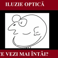 Iluzie optică Foto: Newsweek/mirror.co.uk