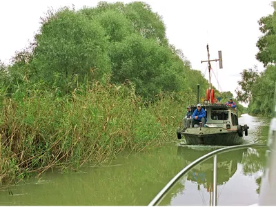 Nou incident în Delta Dunării. O barcă cu doi oameni nu a reușit să ancoreze. Ce a urmat? - Foto: Arhiva