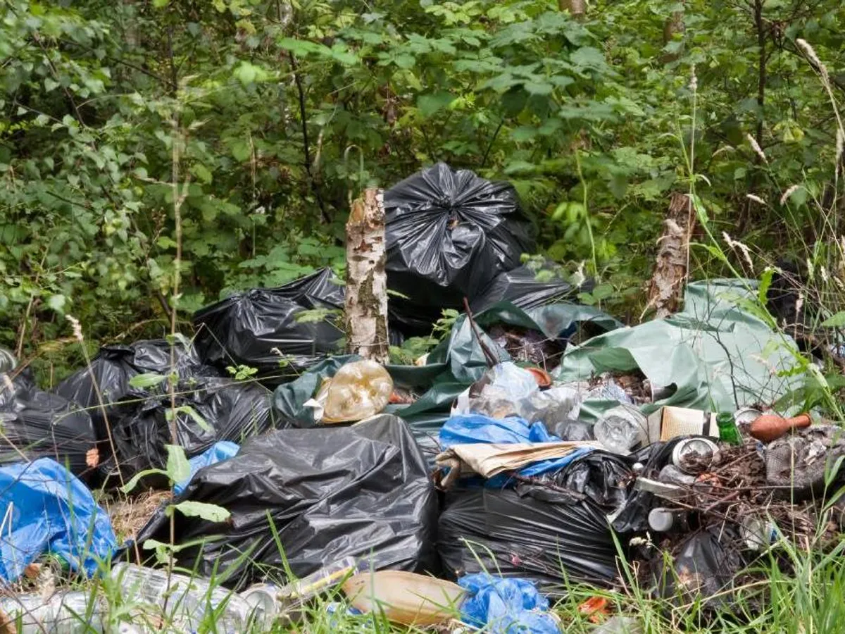 Un bărbat a primit amendă de 30.000 lei după ce a aruncat deșeurile într-o zonă extravilană - Foto: Arhiva (imagine cu rol ilustrativ)