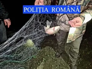 Pește confiscat, imagine cu caracter ilustrativ - Foto: Poliția Română