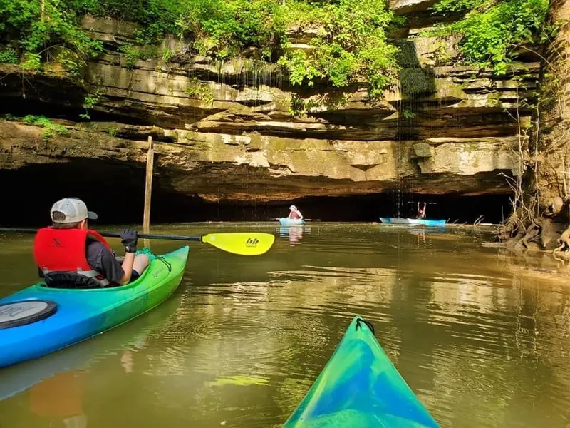 Misterul peșterii care are o rețea subterană de peste 400 km. Aici se găsesc flori rare - Foto: Mammoth Cave/ Facebook