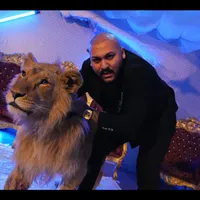 Leul rănit a fost găsit și dus la grădina zoologică/FOTO: YouTube (captură)