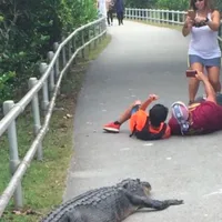 Tată și fiu, la un pas să fie uciși de un aligator. S-au întins pe jos să facă un selfie cu bestia - FOTO: Instagram/ touronsofyellowstone