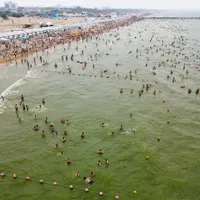 Marea Neagră plină de alge - Foto: Profimedia