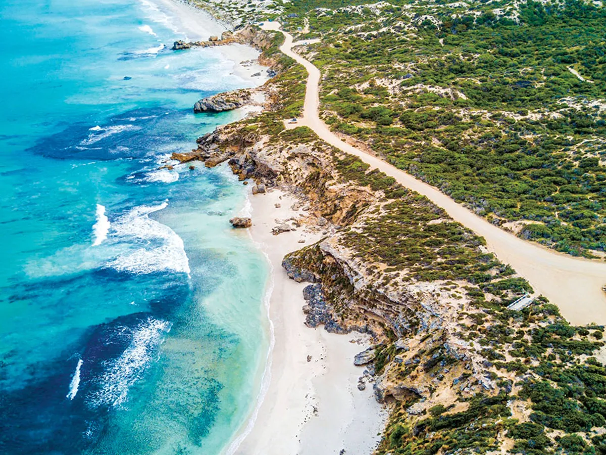 Vezi Insula Kangaroo Bounce Back - Australia