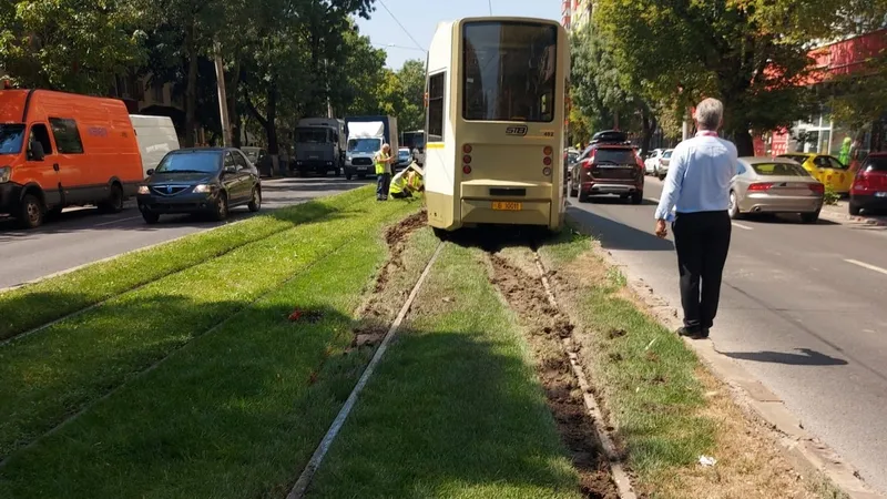 Cum strică tramvaiele și crește riscul de accident iarba pusă între șine de primării în Capitală - Foto: Facebook/Asociația Metrou Ușor