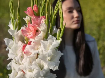 Persoană cu gladiole - Foto: Magnific.com (Imagine cu rol ilustrativ)