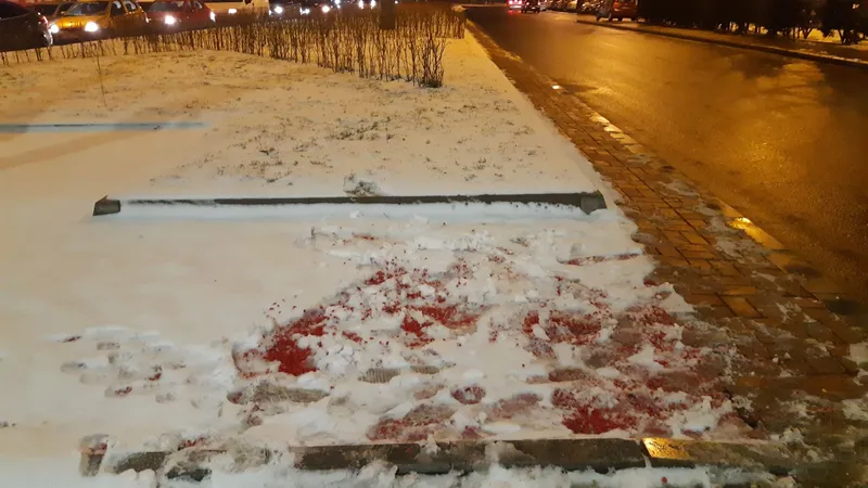 Tricolorul din pietriș a fost acoperit cu zăpadă și oamenii au călcat pe acesta