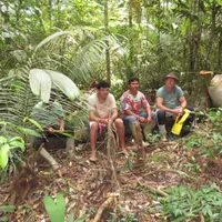 Doi minori au fost salvați din jungla amazoniană după ce s-au pierdut timp de aproape o lună de zile/FOTO: Phys.org