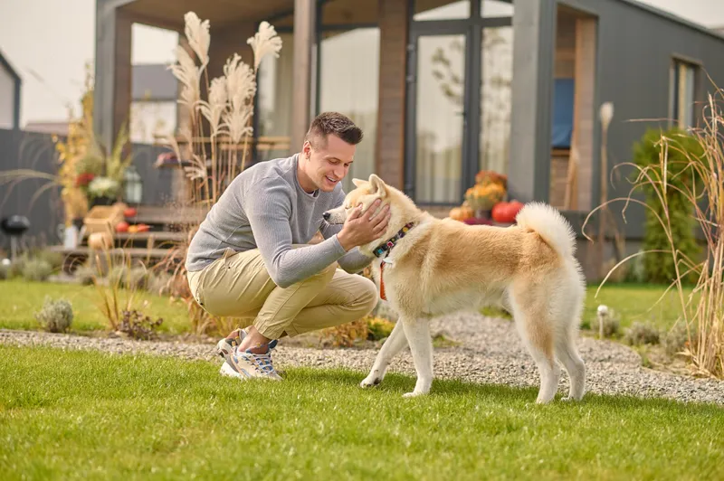 Bărbat adult st&acirc;nd pe vine pe iarbă și m&acirc;ng&acirc;indu-și minunatul c&acirc;ine - Foto: Magnific.com (Imagine cu rol ilustrativ)